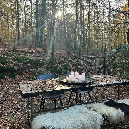 Slapen In Het Bos
